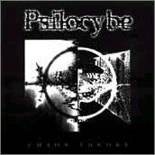 Psilocybe : Chaos Theory